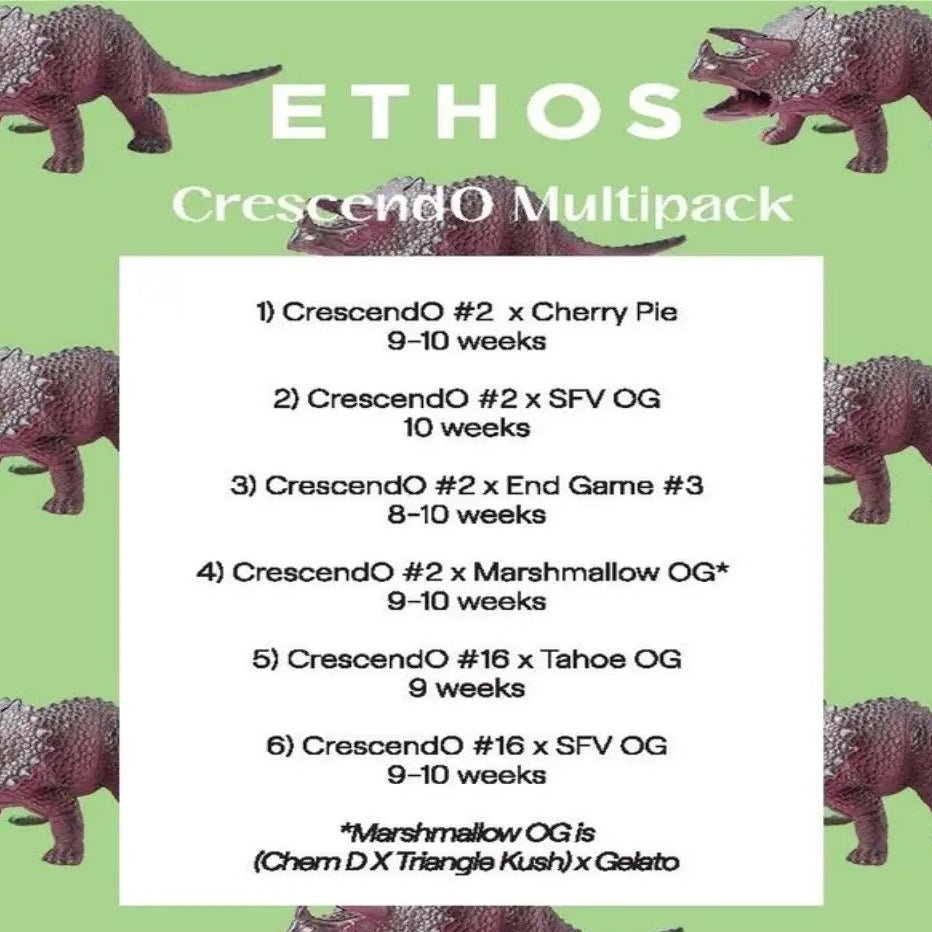 ETHOS Crescendo feminisiert online bestellen, Multipack mit verschiedenen Sorten und Blühzeiten.