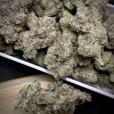 Hochwertige Erdbeer Cookies OG Blüten von Ethos Genetics für den Kauf von Samen