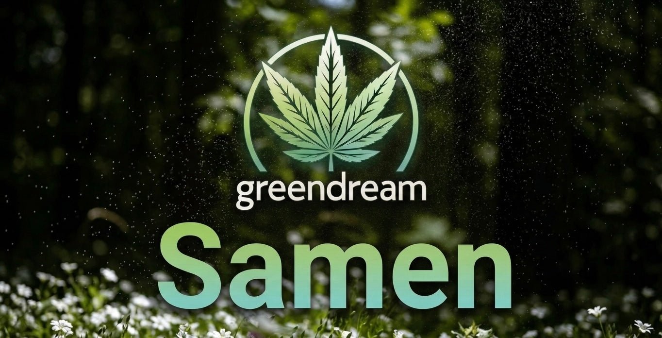 GreenDream Samen