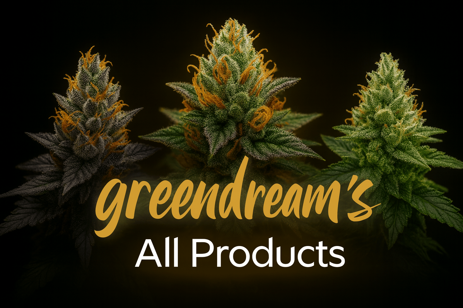 Alle Produkte von GreenDream mit verschiedenen Cannabis Samen, Original, Elite und Finest Sorten, zum Kaufen.