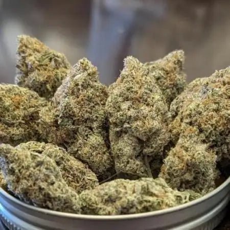 Feminisiert Cannabisblüten in einer Dose mit dem Angebot Ethos Apex R1 feminisierte Samen kaufen